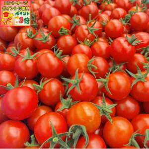 |Cg3{Gg[ōX+10{!!yCm`Iz؂ŌCI~jg}g_1.8kg