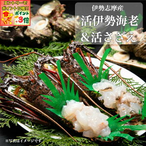 |Cg3{Gg[ōX+10{!!yɐ ےrzɐuY ɐCV BZbg(ɐCV 4A 10`12)