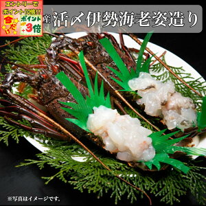 |Cg3{Gg[ōX+10{!!yɐ ےrzɐuY YɐCVp(ⓀEHp) 2(L)