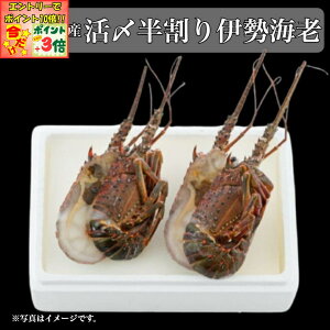 |Cg3{Gg[ōX+10{!!yɐ ےrzɐuY YɐCVlߍ킹(ⓀEHp)2