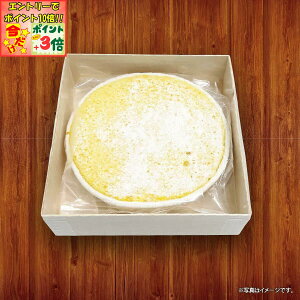 |Cg3{Gg[ōX+10{!!y񂢂܂zVP`[YP[L(Ⓚ) 1