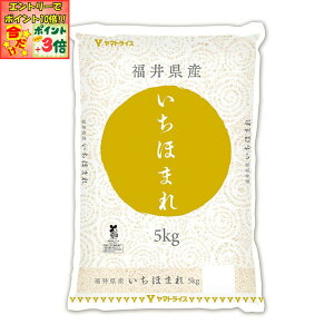 |Cg3{Gg[ōX+10{!!y}gCXzߘa7NxY 䌧Y ق܂ 5 kg