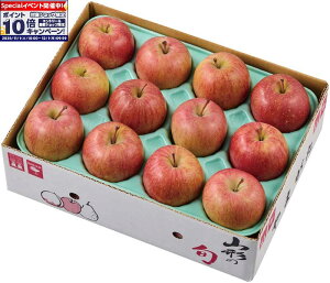 Gg[Ń|Cg10{y~̑́zR`Y Tӂ