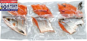 Gg[Ń|Cg10{y~̑́zkCY Vp