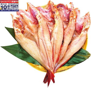 Gg[Ń|Cg10{y~̑́z񂫊Jꎬd