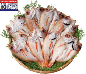 Gg[Ń|Cg10{y~̑́zY VR̂ǂJ