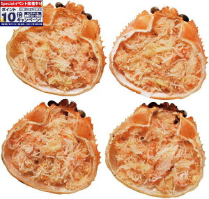 Gg[Ń|Cg10{y~̑́zkCY IIYCIb