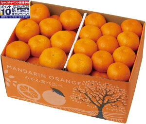 Gg[Ń|Cg10{y~̑́zLc݂ƈQ݂Hה