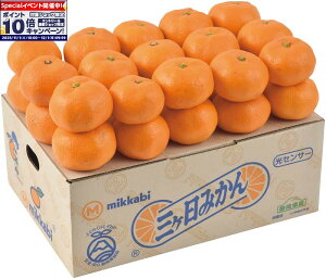 Gg[Ń|Cg10{y~̑́zÉY OP݂