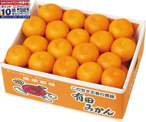 Gg[Ń|Cg10{y~̑́za̎RY Lc݂