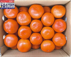 Gg[Ń|Cg10{y~̑́z쌧Y g݂