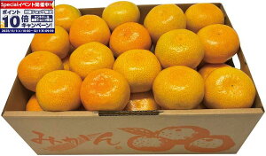 Gg[Ń|Cg10{y~̑́zY ݂