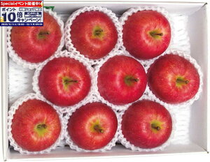 Gg[Ń|Cg10{y~̑́zXY 