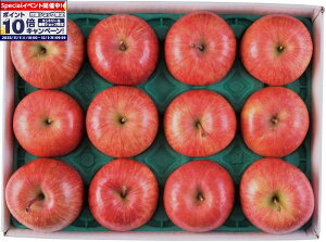 Gg[Ń|Cg10{y~̑́zJAOO Tӂ񂲁iW[j