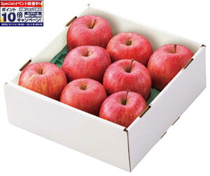 Gg[Ń|Cg10{y~̑́zR`Y Tӂ