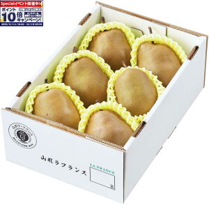 Gg[Ń|Cg10{y~̑́zR`Y X[p[tX