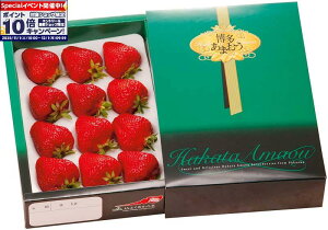 Gg[Ń|Cg10{y~̑́zJAӂ ܂