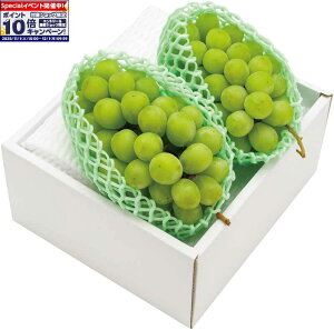 Gg[Ń|Cg10{y~̑́zR`Y VC}XJbg