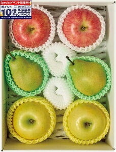 Gg[Ń|Cg10{y~̑́zR`Y 3̉ʎl