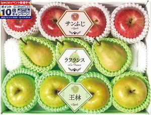 Gg[Ń|Cg10{y~̑́z~̉ʎ3l