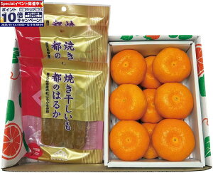 Gg[Ń|Cg10{y~̑́zĂƌF{Y ݂