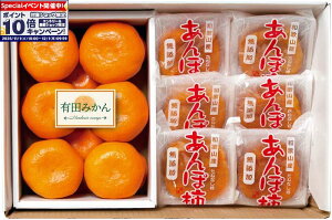 Gg[Ń|Cg10{y~̑́za̎RY ۊ`Lc݂