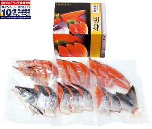 Gg[Ń|Cg10{y~̑́zkCY Vp