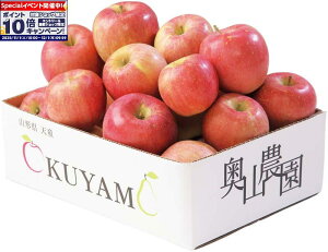 Gg[Ń|Cg10{y~̑́zR_ R`Y Tӂ