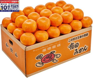 Gg[Ń|Cg10{y~̑́za̎RY Lc݂