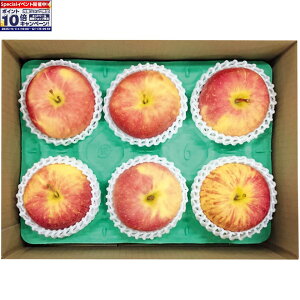 Gg[Ń|Cg10{y~̑́zXYtƂ炸Tӂ񂲁i5`61D7kgȏj