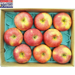 Gg[Ń|Cg10{y~̑́zXYtƂ炸Tӂ񂲁i8`11Av2D8kgj