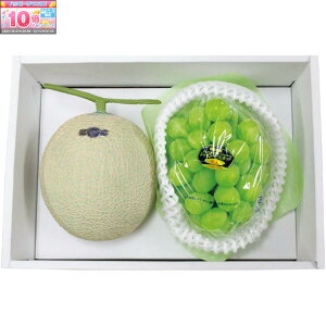 Gg[Ń|Cg10{y~̑́zRYEÉYVC}XJbgÉiVC}XJbg1[A1j