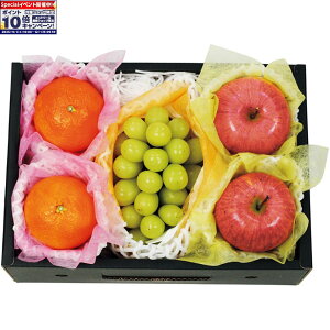 Gg[Ń|Cg10{y~̑́zR`YEVC}XJbgETӂ񂲂ƈQYEg܂ǂȋl