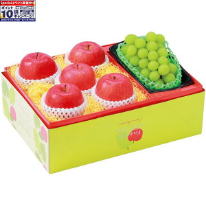 Gg[Ń|Cg10{y~̑́zXYTӂ񂲂ƃVC}XJbgZbg