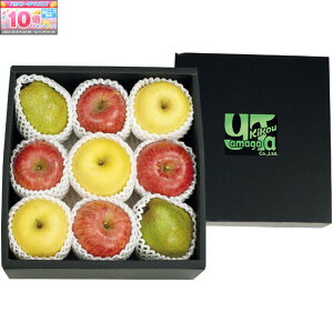 Gg[Ń|Cg10{y~̑́zR`Yt[c{bNXi񂲁AmȂj