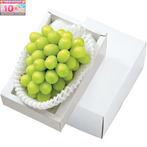 Gg[Ń|Cg10{y~̑́zRYVC}XJbg [1[i700gȏj