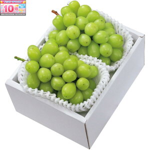 Gg[Ń|Cg10{y~̑́zRYVC}XJbg 2[v1D1kgȏ