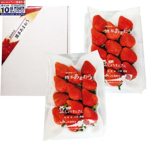 Gg[Ń|Cg10{y~̑́zY܂䕃Mtg