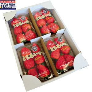 Gg[Ń|Cg10{y~̑́zȖ،YiJA܁jƂ M[pbN4pbNi1pbN260gȏj