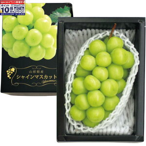 Gg[Ń|Cg10{y~̑́zR`Y嗱VC}XJbg GiA1[i600gȏj