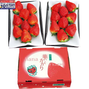 Gg[Ń|Cg10{y~̑́z򕌌Y򕌂u؂v GiA2pbNi1pbN5`14jAv500gȏ