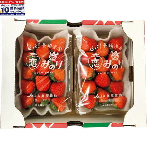 Gg[Ń|Cg10{y~̑́z茧Ŷ݂ 2pbNi1pbN240gȏj