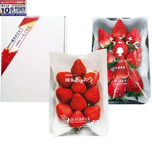 Gg[Ń|Cg10{y~̑́zYEꌧY܂䕁E䕔