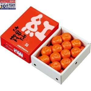 Gg[Ń|Cg10{y~̑́z쌧Yio݂񋤓Iʏjg݂ SMLTCYAv2D4kgȏ