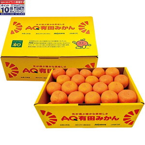 Gg[Ń|Cg10{y~̑́za̎RYiJA킩܁jLc݂ SMLTCYAv5kgȏ