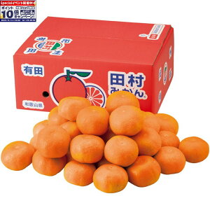 Gg[Ń|Cg10{y~̑́za̎RYc݂ DiASMTCYAv2D8kgȏ