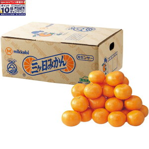 Gg[Ń|Cg10{y~̑́zÉYiJAOPjOP݂ DiAMTCYAv3kgȏ