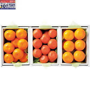 Gg[Ń|Cg10{y~̑́za̎RYEF{YE쌧Y݂HהׁiLc݂E݂Eg݂j