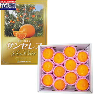 Gg[Ń|Cg10{y~̑́z啪Y[[IWETZu 9`15Av1D8kgȏAϔ