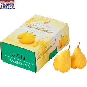 Gg[Ń|Cg10{y~̑́zVYiJAV₫jt[ct[˂̃ N`G 5`7Av1D9kgȏ